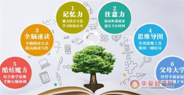 全脑教育连锁加盟